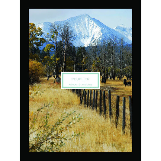 V4HAA91AE32F236F88B155E3F0BD5A60DFFR7423544P2