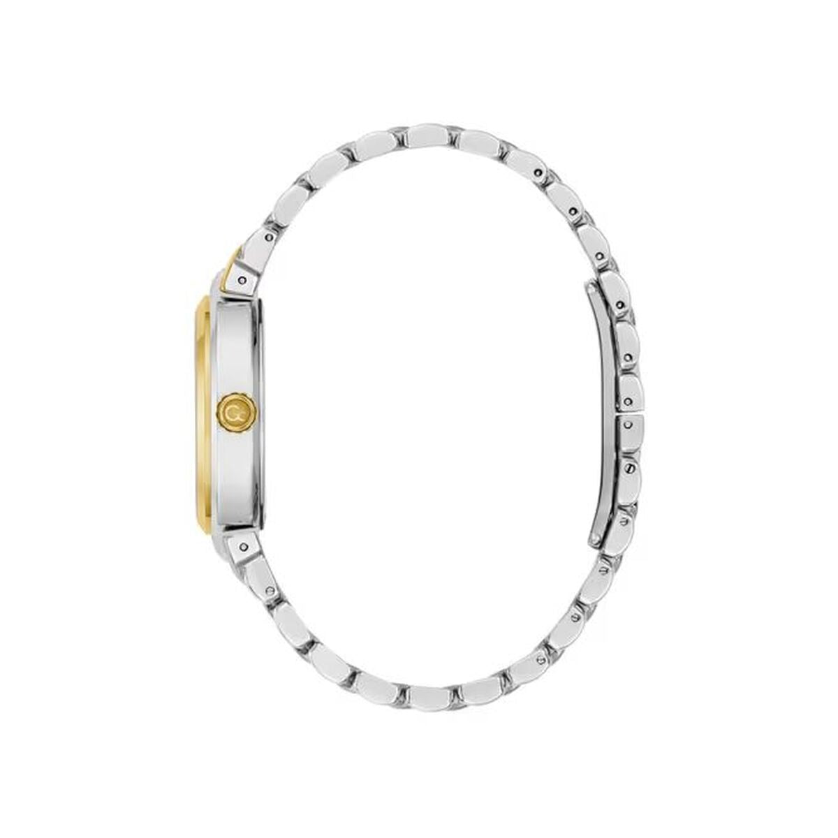 Gc Watches Ladies' Watch Gc Watches Z45002L1Mf (Ø 36 Mm)
