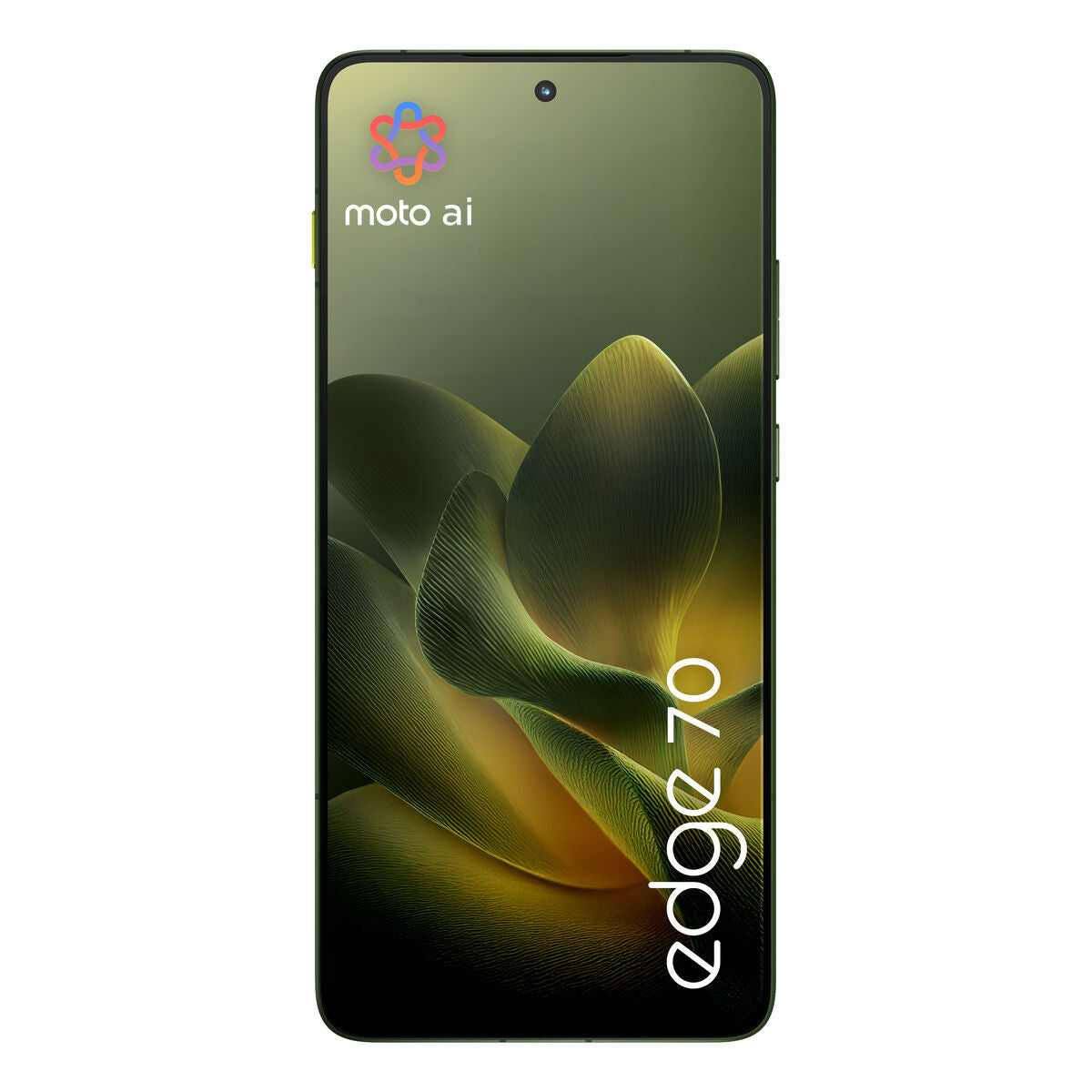 V2HCC47B7EFCA99AD2954CB0B4151A5D03CR7598663P9