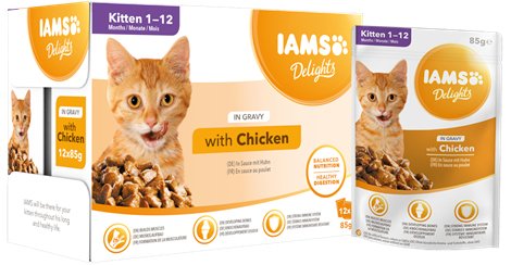 Comida Húmeda Gatos Iams Delights Kitten Chicken In Gravy 12 X 85G