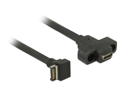 Delock USB Cable 3.1 Gen 2 Clave a Male 20 Pines USB 3.1 Gen 2 USB Type-c™ Panel Assembly Female 45CM — image 1