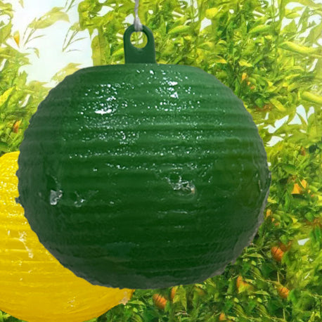 Fruit Fly Lure Ball Orange Fruit Fly Orange Fruit Fly Fruit Fly Sticky Ball