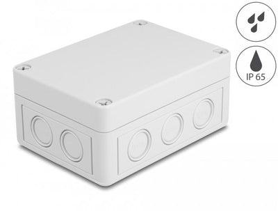 Delock Housing Installation With Entradas Cable 130 X 93 X 57MM Grey — image 1