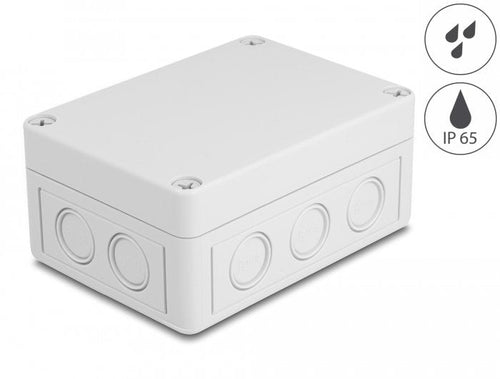 Delock Housing Installation With Entradas Cable 130 X 93 X 57MM Grey — image 1