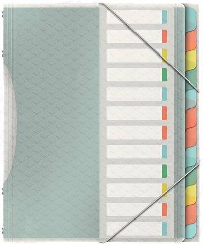 Esselte Clasificador Colour'ice 12 Separadores 266X320X20 Mm Polipropileno Colours Surtidos — image 1