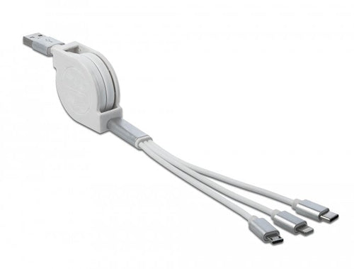 Delock 85850 USB Cable 0,98M 2.0 USB a USB C/Micro-usb B/Lightning Silver White — image 1