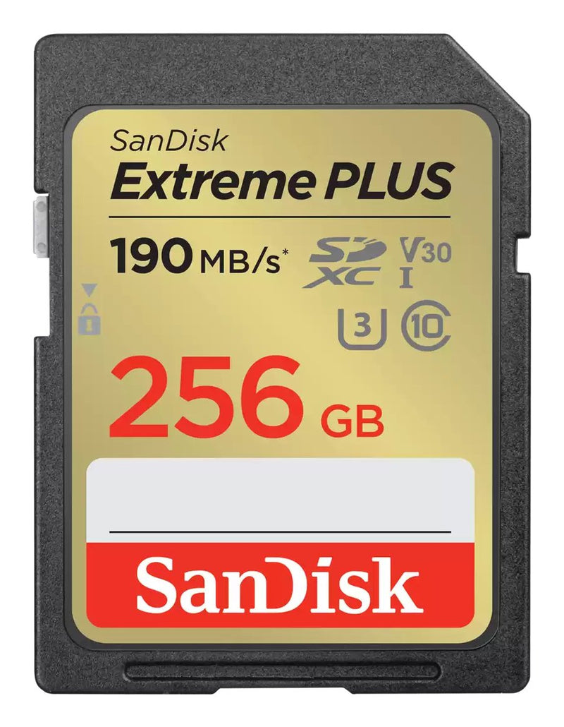 SanDisk Memory Sdxc 256GB UHS-1/SDSDXWV-256G-GNCIN