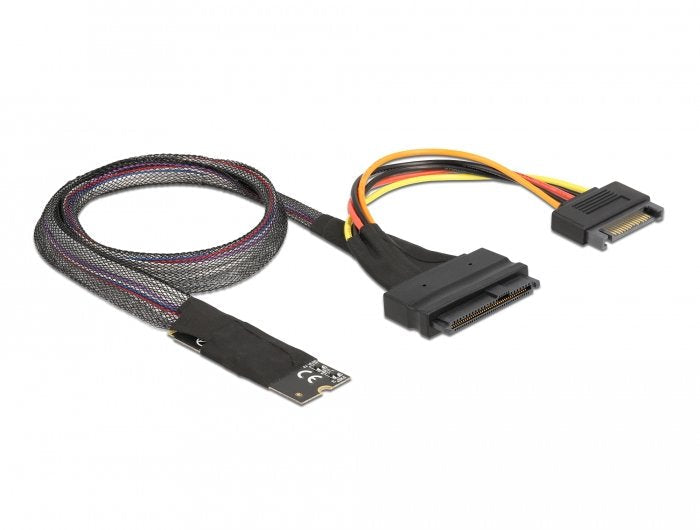 Delock Adapter M.2 Key M a U.2 SFF-8639 NVMe With Cable 50CM
