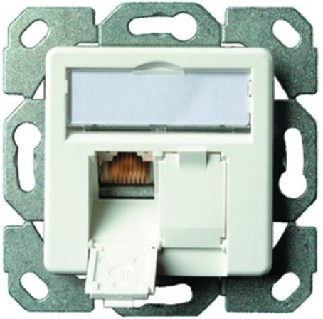 Telegärtner Socket AMJ45 8/8 K Up / 50 CAT.6A White Alpino