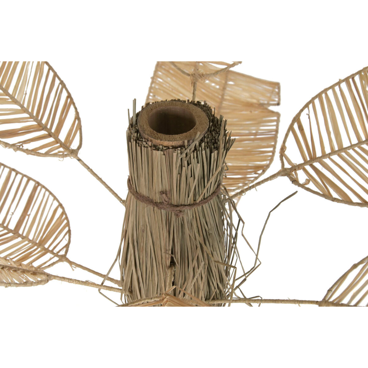 V2H7BEF5778C21EF41CCE3A130D6F965380R7806899P4