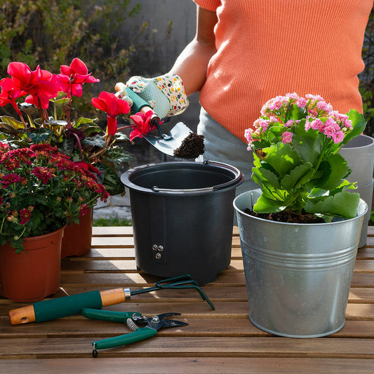 V10HC0A3675F1E749D3D37ABB7FAABBDBCBBR5279562P2