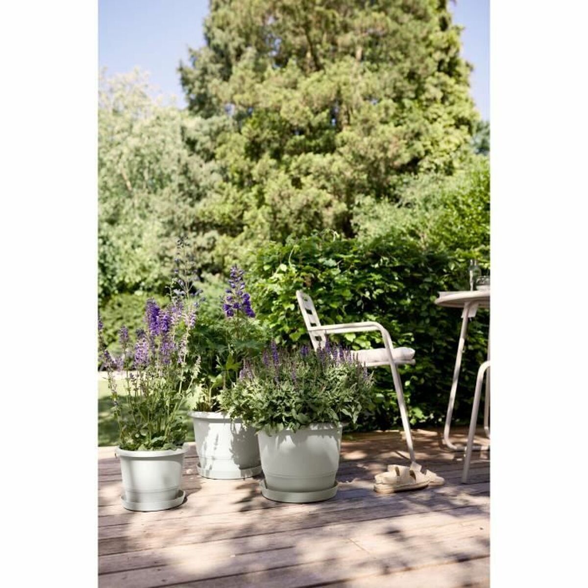 V5HAE13DCC6441D7D4D219B3A5DF248B88DR5529096P3