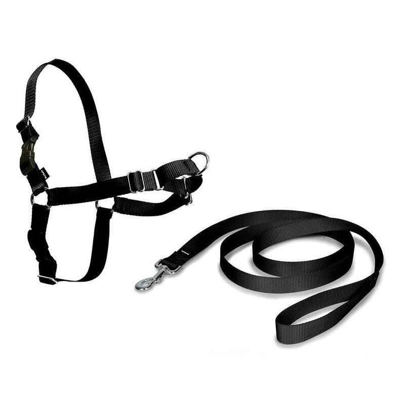 Arnés Easy Walk Negro Large 69-101CM