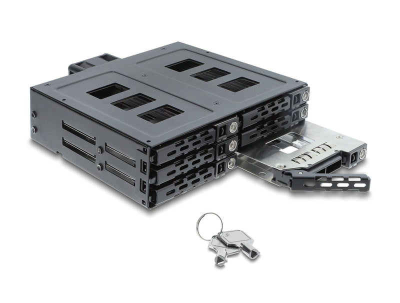 Delock 5.25? Bastidor Removable 6 X 2.5? SATA Or Sas HDD SSD With Lock