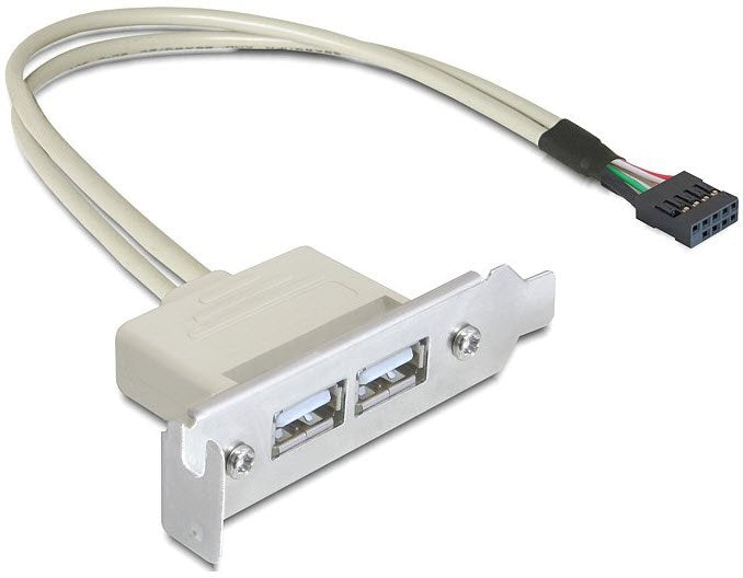 Delock Slot Bracket USB 2.0 Low Profile 2 Ports