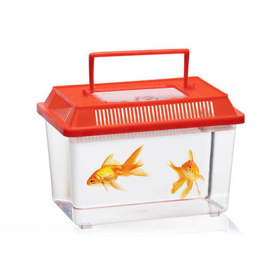 Box Insectos Colours Surtidos — image 1