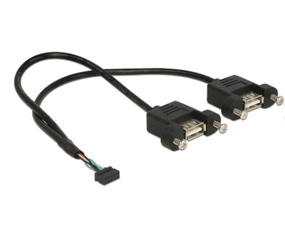 Delock USB Cable 2.0 Female 10 Pines 2,00MM 2 X USB 2.0 Tipo-a Female Installation Panel 25CM — image 1
