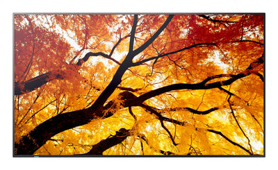 Sharp Multisync M432 Screen Plana Señalización Digital 108CM (42.5) LCD 550 Cd / M² 4K Ultra HD Black — image 1
