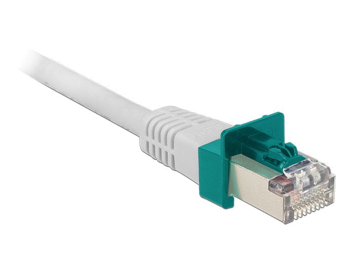 Delock 86406 Set Of Arranque Clips Security RJ45 20 Pieces