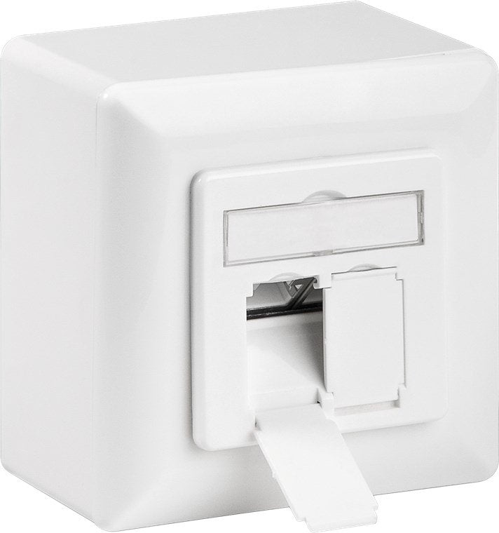 Goobay Plug Universal CAT.6 Que Includes Frame Assembly Surface And Box Of Conexiones White 2X Connector RJ-45