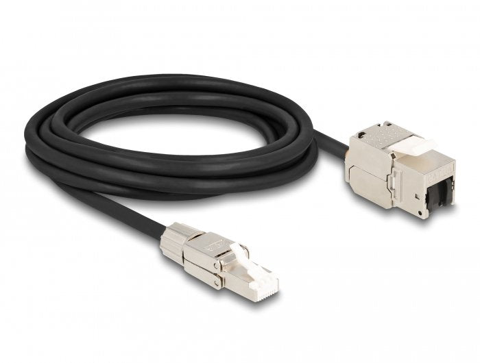 Delock Cable RJ45 Connector Male Montable Campo a Keystone Módulo RJ45 Connector Female CAT.6A 3M