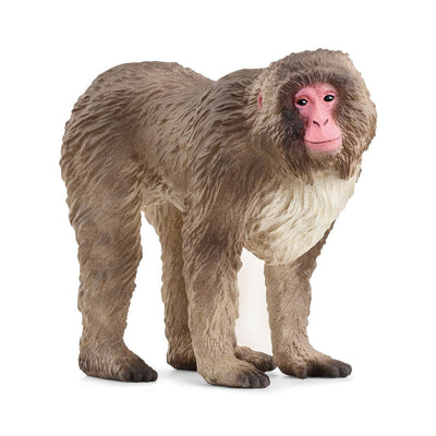 Schleich Wild Life Macaco Japonés, Figure Toy 14871 — image 1