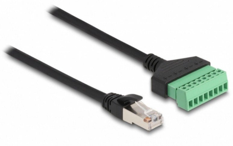 Delock RJ45 Cable CAT.6M Terminalblock Adapter 30CM 2TLG