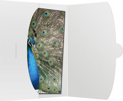 Daiber 50 Case 15X20 White — image 1