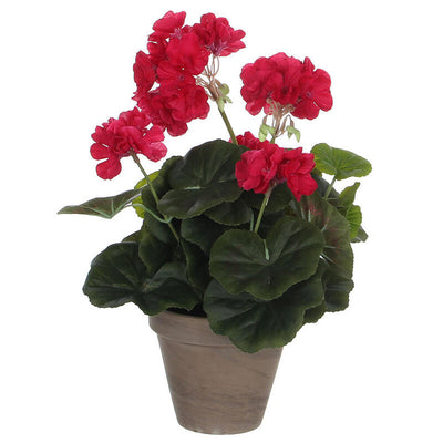 Geranio Pink Oscuro Pvc With Plant Pot Grey — image 1