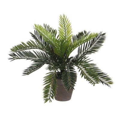 Palmera Sago (cyca Revoluta) Pvc With Plant Pot Grey Ø11,5X10CM — image 1