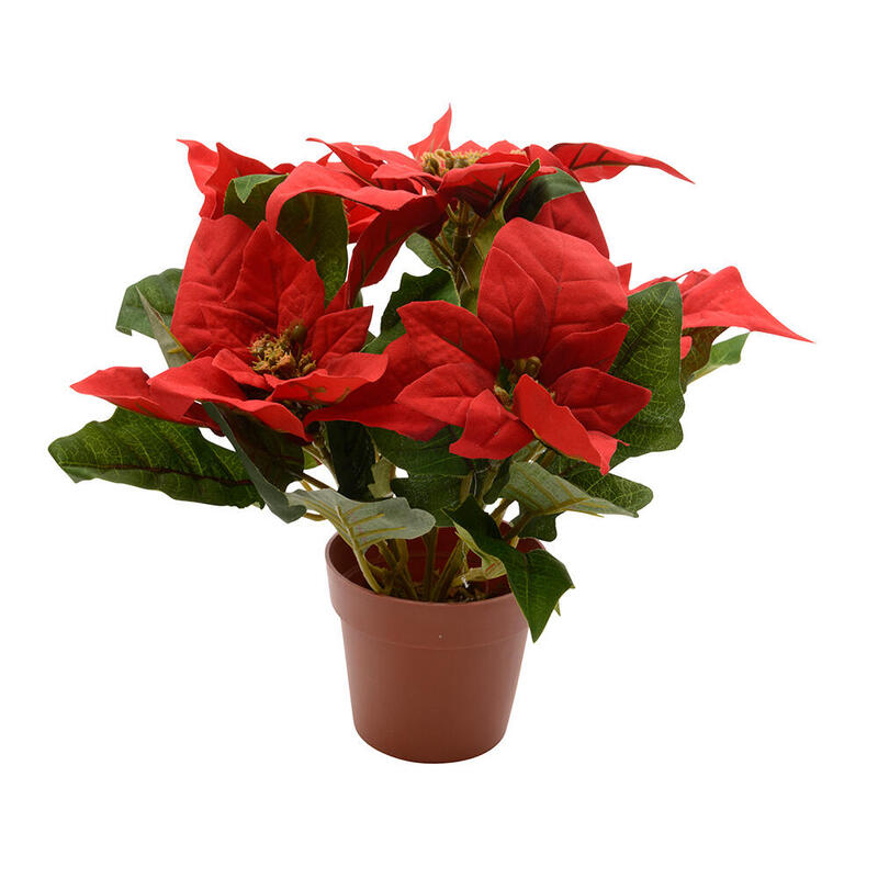 Planta Artificial Flor Pascua, Ø27X27CM, Basics